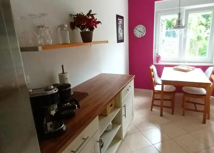 Apartment Opatija דירה אופטיה